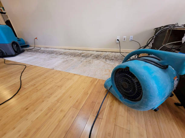 Professional Structural Drying technician working in Johnson Creek, WI
